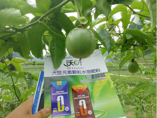 顆粒水溶肥品牌，跟著這樣選！