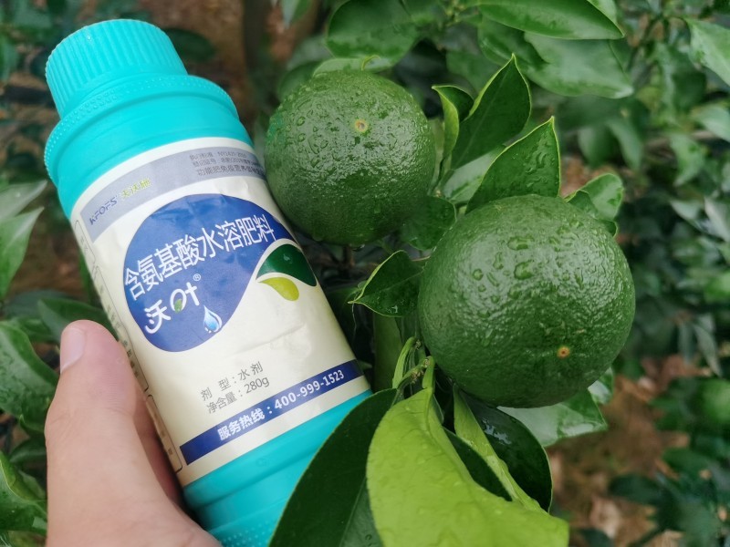 解密植物對氨基酸的吸收原理，夫沃施掌握氨基酸水溶肥核心科技