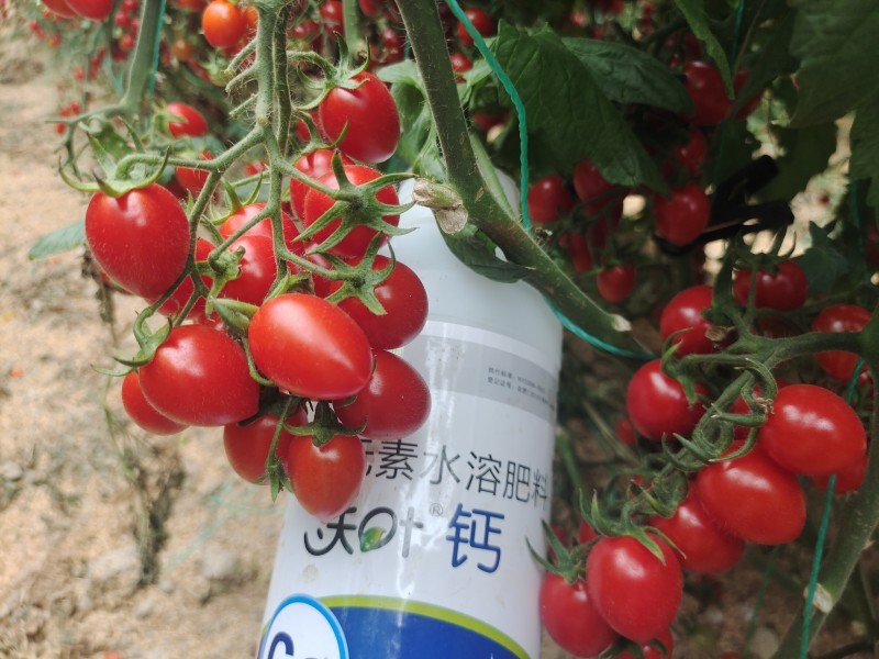 水溶肥挑選技巧掌握了，種啥都中