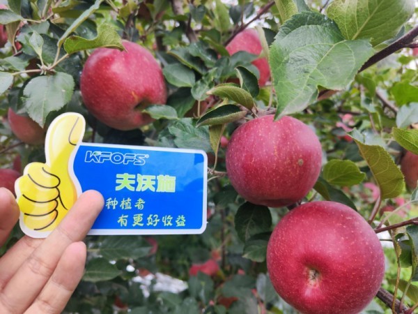 微生物菌劑，作物增產(chǎn)的“敲門磚”