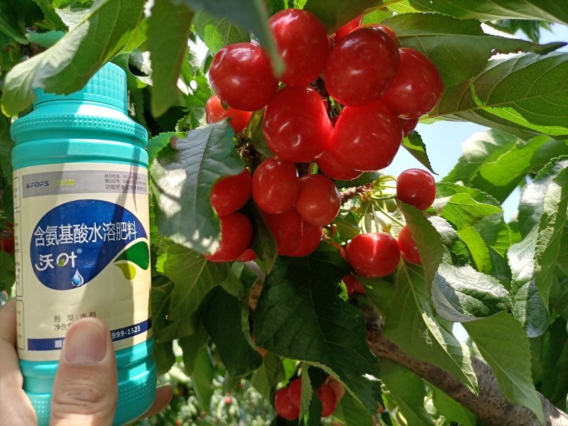 葉面肥什么時(shí)候用，你知道嗎？