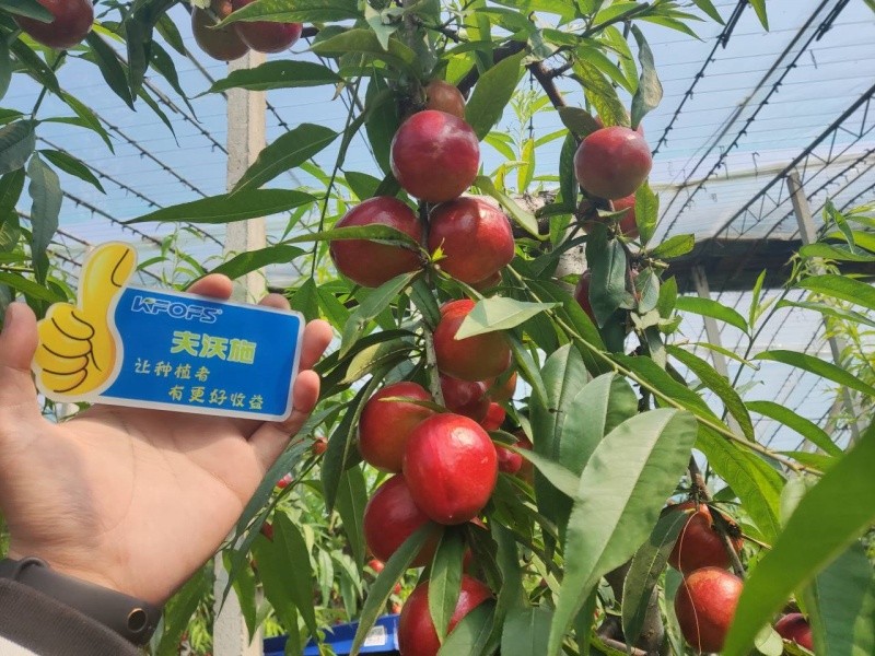 微生物菌劑的作用，你真的了解嗎？
