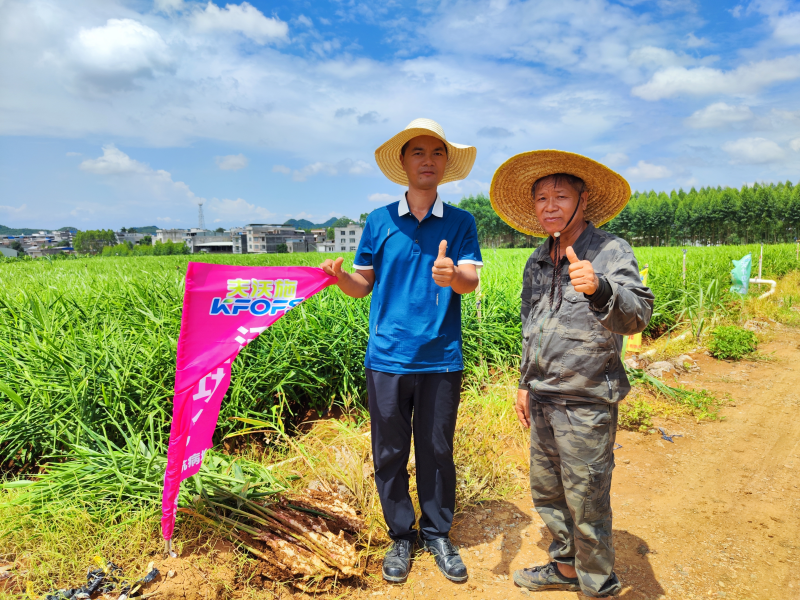 生根劑不能錯過的3個時期，你知道嗎？
