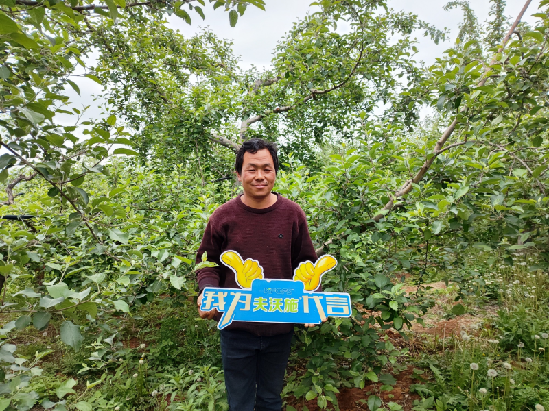 大量元素水溶肥怎么用效果好？