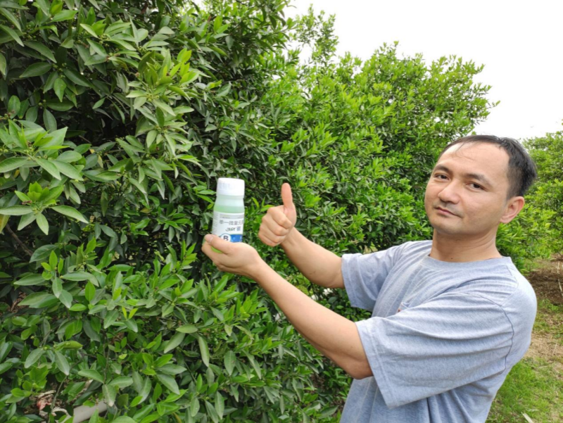 柑橘用什么肥料好？