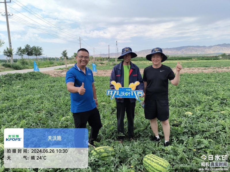 西瓜藥害怎么辦？水溶肥調(diào)理解決