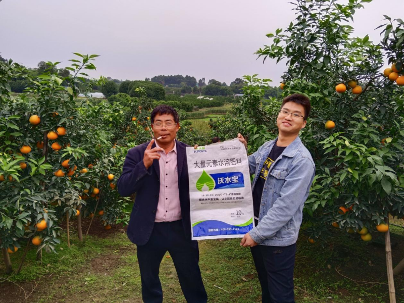 柑橘秋施基肥的作用，總結(jié)歸納三點(diǎn)