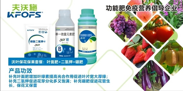 ?；ū９~面肥