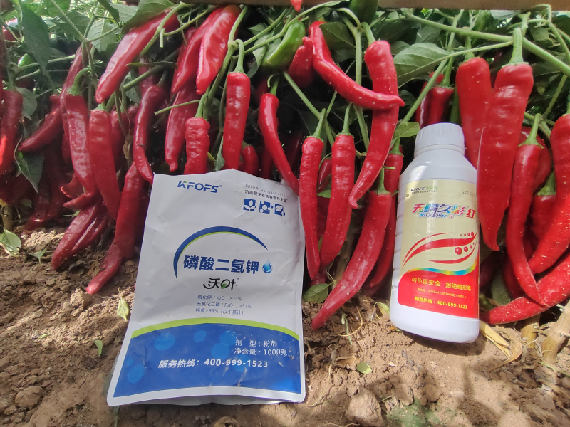 磷酸二氫鉀是葉面肥嗎？